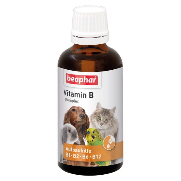 2x50ml B-vitamiini beaphar koiralle