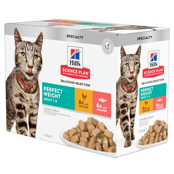 12x85g Perfect Weight Chicken & Salmon Hill‘s Science Plan kissanruoka