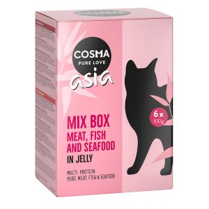 Cosma Asia Pouches -säästöpakkaus 24 x 100 g - lajitelma (6 makua)