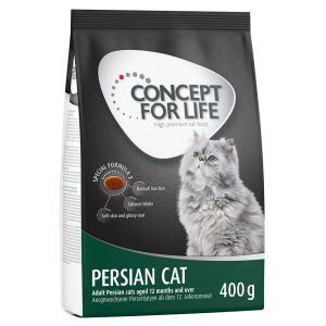 400g Persian Adult Concept for Life -kissanruoka