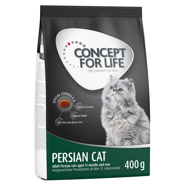 400g Persian Adult Concept for Life -kissanruoka