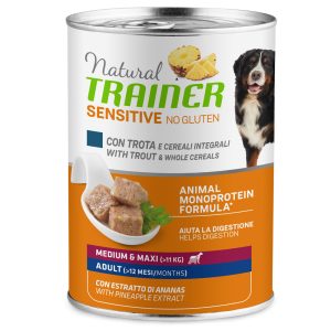 24x400g Sensitive No Gluten Adult taimen ja täysjyvävilja Natural Trainer