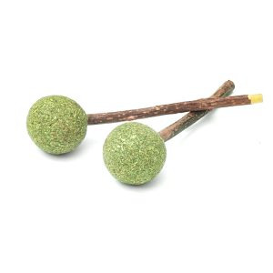 1 setti (2kpl) Aumüller Silver Vine Lolli -hammashoitolelu