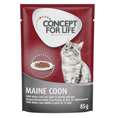Concept for Life -säästöpakkaus 48 x 85 g Maine Coon