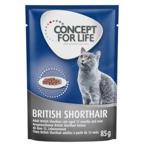 Concept for Life -säästöpakkaus 24 x 85 g - British Shorthair