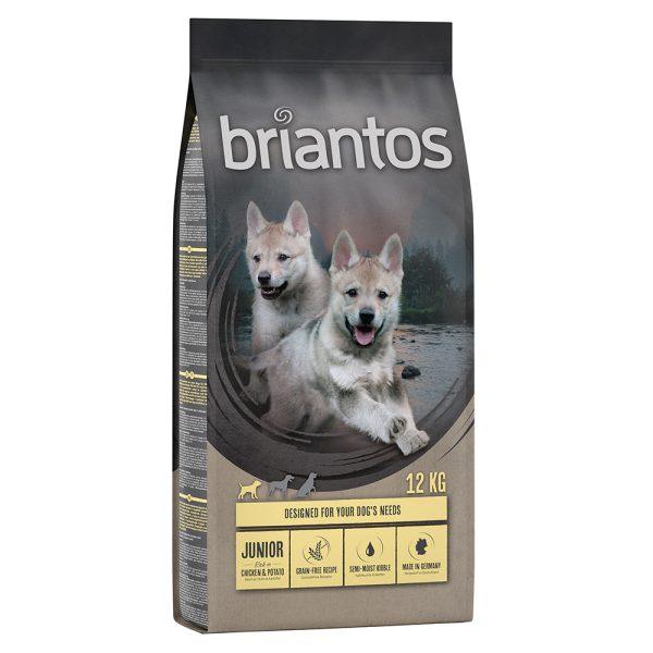12kg Junior Chicken (viljaton) Briantos-koiranruoka
