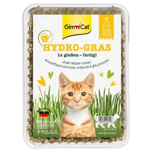 GimCat Hydro-Gras -kissanruoho 150g