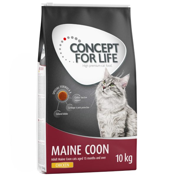 10kg Maine Coon Adult Concept for Life kissan kuivaruoka
