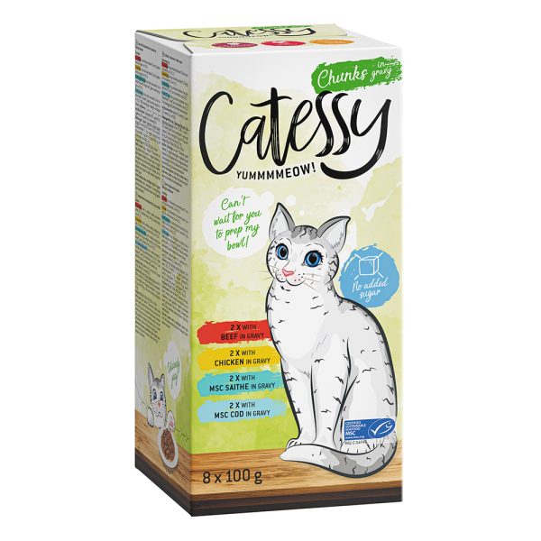 8 x 100g paloja kastikkeessa lajitelma Catessy rasiat kissanruoka