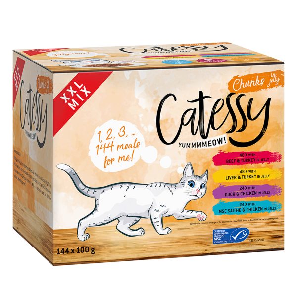 144x100g 4 hyytelömakua Catessy kissanruoka