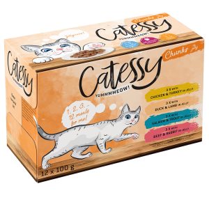 12x100g hyytelöllä, monta makua Catessy Kissanruoka