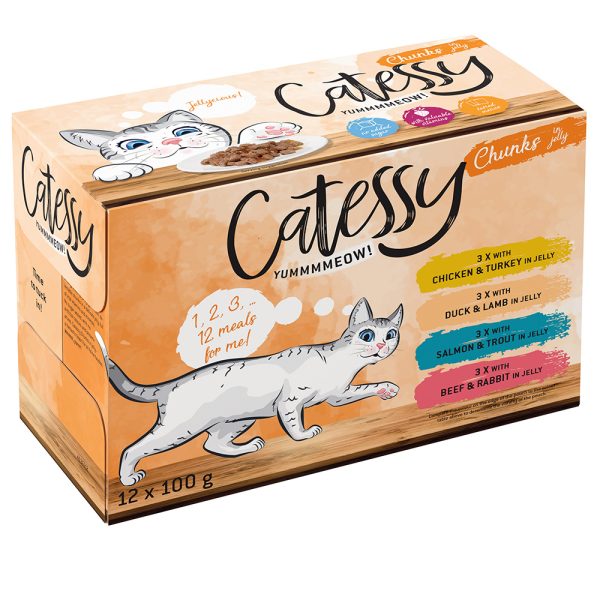 12x100g hyytelöllä, monta makua Catessy Kissanruoka
