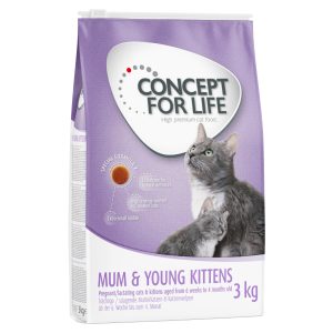 3kg Mum & Young Kittens Concept for Life -kissanruoka