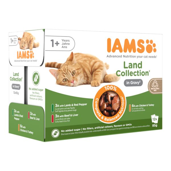 48x85g Delights Adult: Land Mix in Sauce IAMS-kissanruoka