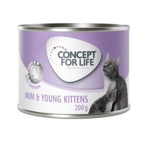 6x200g Mum & Young Kittens Mousse Concept for Life kissan märkäruoka