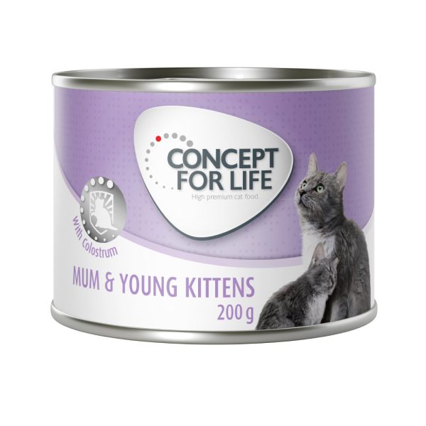 6x200g Mum & Young Kittens Mousse Concept for Life kissan märkäruoka