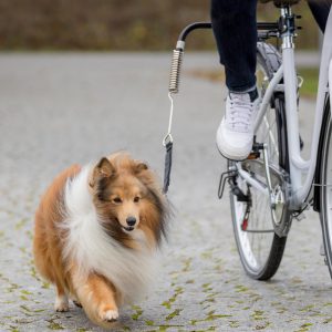 Biker Set de Luxe Trixie pyöräilytalutin metallikiinnitys ja talutin