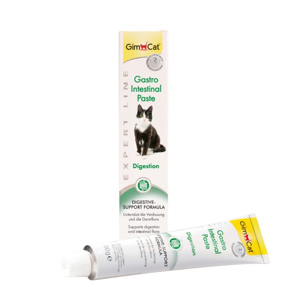 50g Gastro Intestinal Paste GimCat kissalle