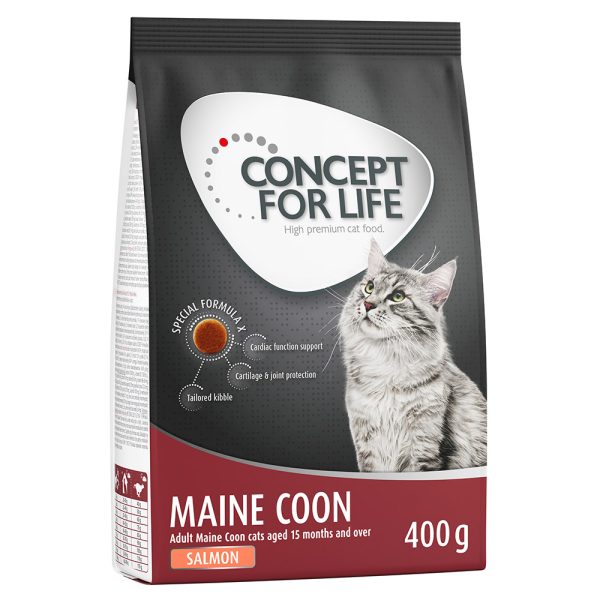 400g Maine Coon Adult lohi Concept for Life -kissanruoka