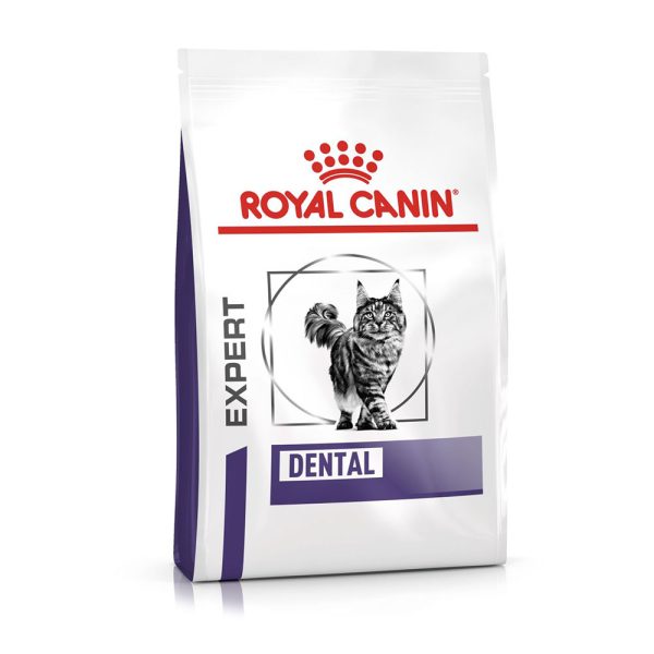 1,5kg Expert Dental Cat Royal Canin -kissanruoka