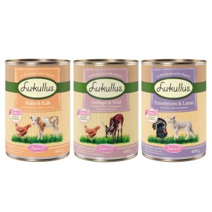 Lukullus Junior kokeilupakkaus koiranruoka