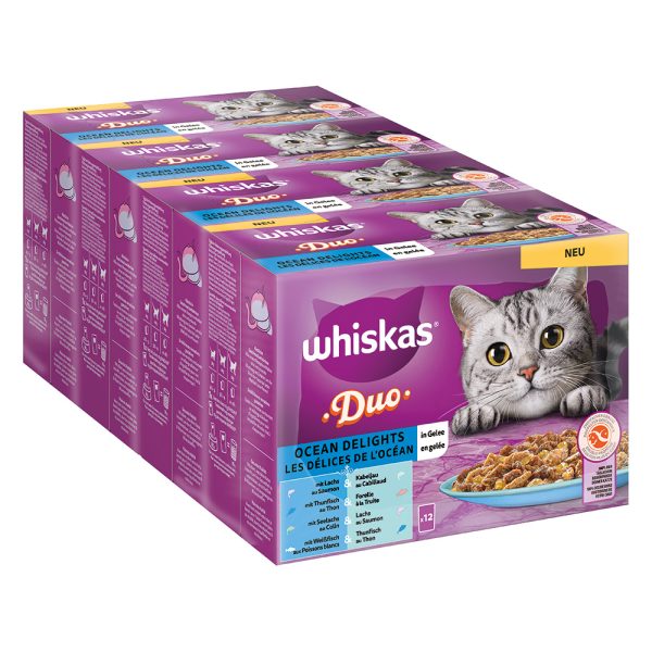 96x85g DUO Ocean Delights in Jelly Whiskas-kissanruoka