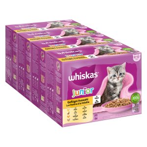 144x85g Whiskas Junior Pouches siipikarjavalikoima hyytelössä