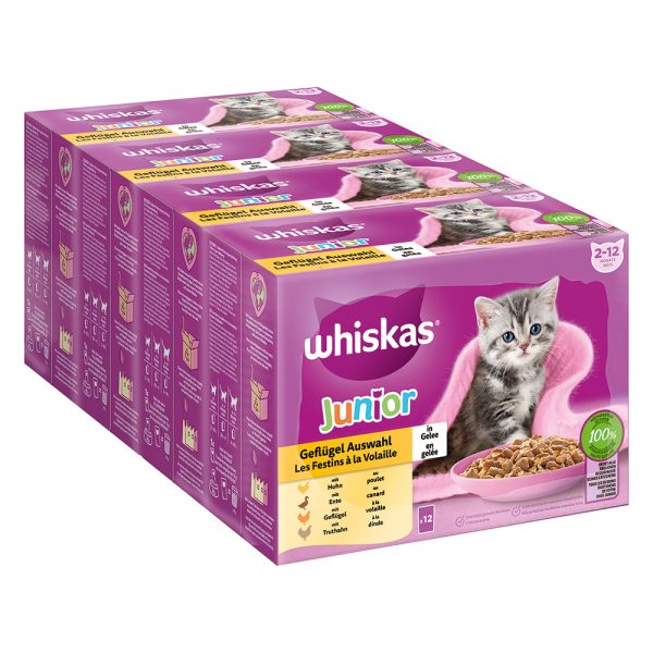 144x85g Whiskas Junior Pouches siipikarjavalikoima hyytelössä