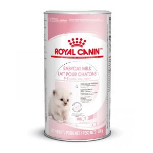2x300g Babycat Milk Royal Canin -kissanruoka