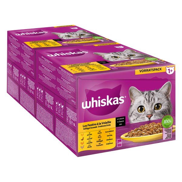 144x 85g Jumbo Pack Whiskas 1+ Adult Fresh Pouches Poultry Selection in Sauce märkä kissanruoka