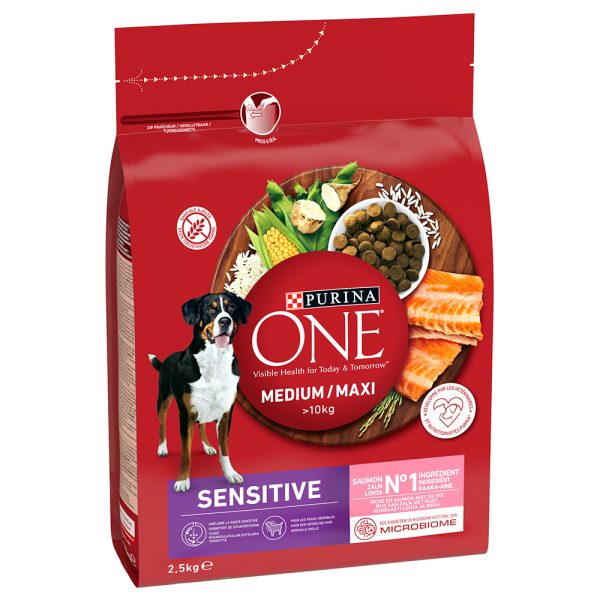 2,5 kg Purina ONE Medium/Maxi Sensitive Salmon koiran kuivamuonaa