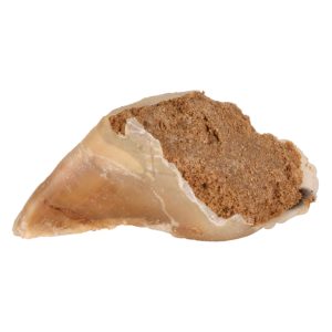 10x115g purusorkka lihatahnatäytteellä Trixie koiralle