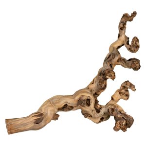 Viiniköynnös, hiekkapuhallettu 40 60 cm Trixie pieneläimille