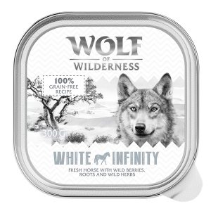 Wolf of Wilderness Adult -säästöpakkaus 24 x 300 g   - White Infinity - Hevonen