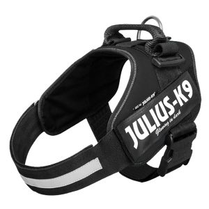 Setti: JULIUS-K9®-Power -valjaat - musta + Julius-K9 -tuplatalutushihna, kumipintainen - valjaskoko 0 + talutushihna 220 cm (alle 50 kg)