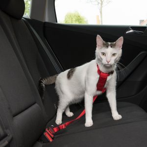 Autovaljaat kissalle punainen Trixie