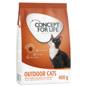 400g Outdoor Cats Concept for Life -kissanruoka