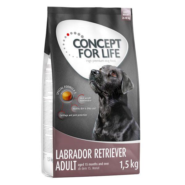 1,5kg Labrador Retriever Adult Concept for Life koiranruoka