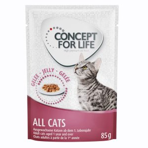 12 x 85g  Concept for Life All Cats in Jelly