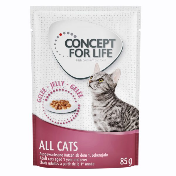 12 x 85g  Concept for Life All Cats in Jelly