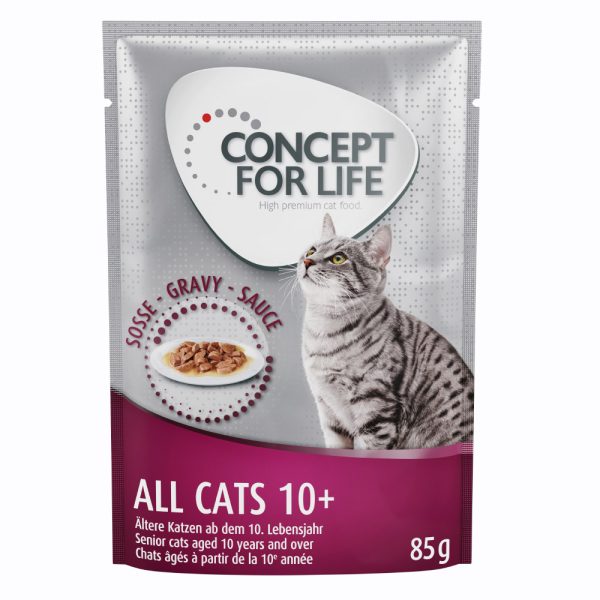 12x85g 10+ in Gravy Concept for Life Kissanruoka