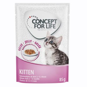 48x85g Kitten in Jelly Concept for Life Kissanruoka