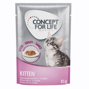48x85 g Concept for Life Kitten in Gravy kissanruoka