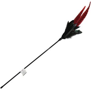 Mystic Long Feather -lelukeppi kissoille