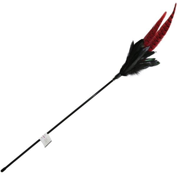Mystic Long Feather -lelukeppi kissoille