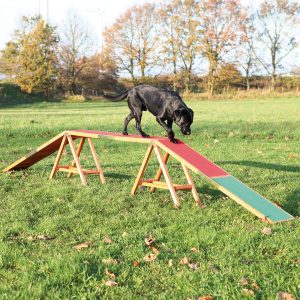 Dog Activity Agility -puomi 456x30x64cm Trixie