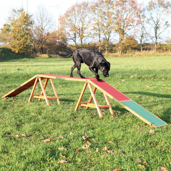 Dog Activity Agility -puomi 456x30x64cm Trixie