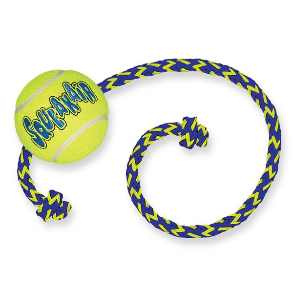 2xM/L SqueakAir Ball köydellä KONG