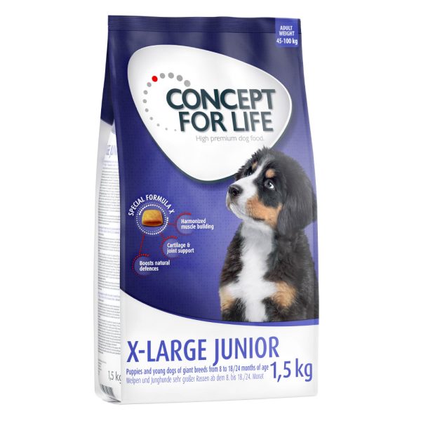 1,5kg Concept for Life X-Large Junior kuivaruoka koiralle