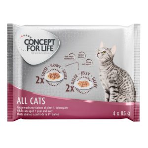 4x85g  Concept for Life Kissanruoka